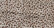 (image for) Premium animal print scarf # s0648-1