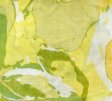 (image for) Premium other print scarf #s0708-2