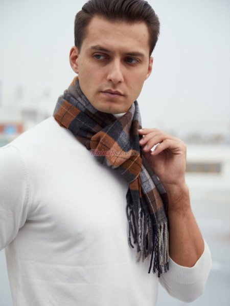 (image for) Cashmere Feel Plaid Scarf Brown 12-pack