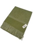 (image for) Paisley Jacquard Shawl Light Green