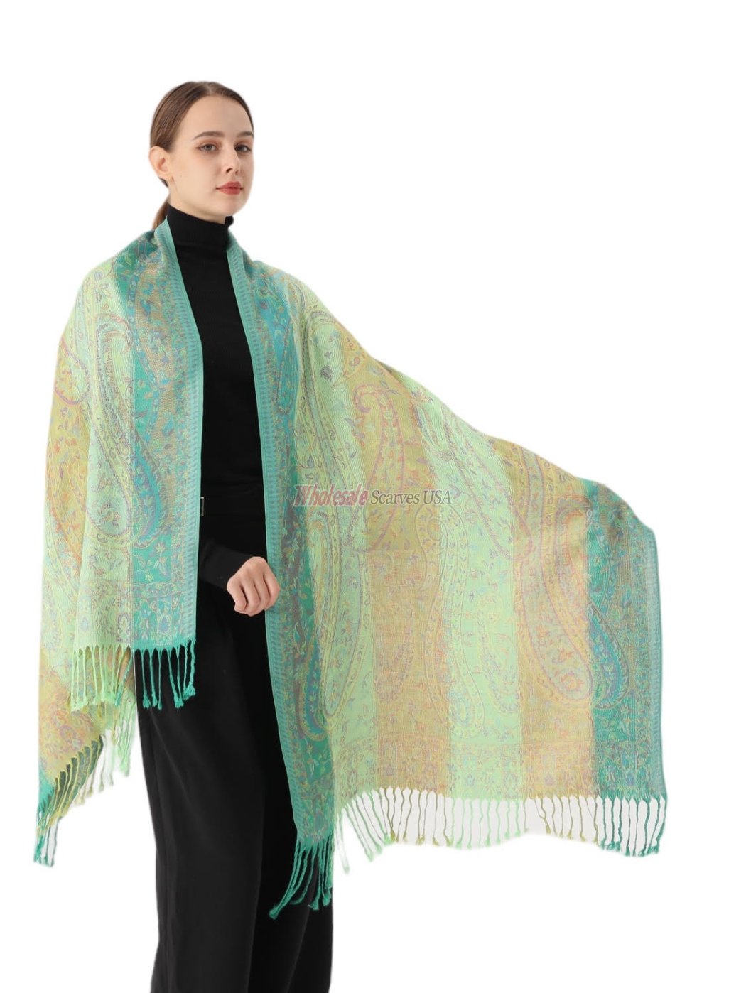 (image for) Rainbow Paisley Pashmina PL041-03